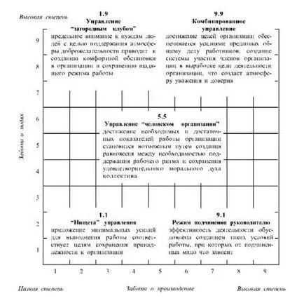 Решетъчни стратегии за управление на функцията за управление, факторите, които определят стила