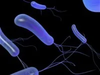 Запущений простатит лікування і ознаки хронічної форми у чоловіків, наслідки