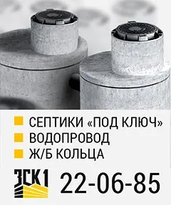 Захист приватного будинку від перенапруг - ПЗІП хтось ставить, сибірське домоволодіння (перенапруг) Захист приватного будинку від перенапруг - ПЗІП хтось ставить, сибірське домоволодіння