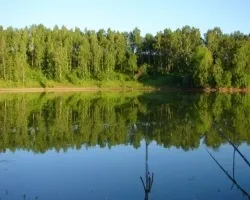 Захищаємося на рибалці від комарів (цього потрібно відрізати) Захищаємося на рибалці від комарів