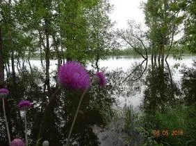 bază de pescuit pe Akhtuba - pescuit pe Akhtuba