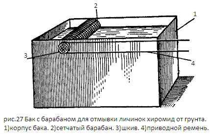 Рибата е винаги - развъдни блатни птици (хирономиди)