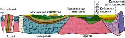 Rusă (Europa de Est) rannina