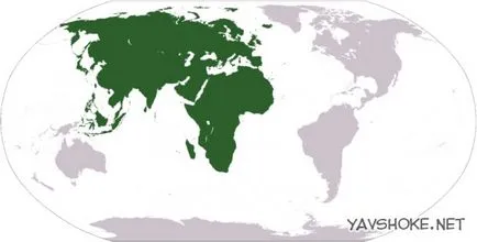 Cel mai mare continent de pe pământ