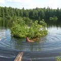 Cel mai adanc lac din lume - Baikal - România,