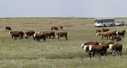 Agricultură, platforma de conținut