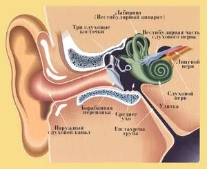 Zgomotul în cauzele urechii drepte și tratament tratament ureche