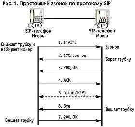 Sip Co tamburina