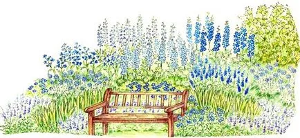 Сините цветя - снимки