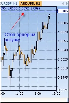 Чи знаєте ви, що таке ордера типу осо, для чого вони потрібні і як ними користуватися】 - керівництво