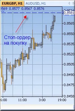 Чи знаєте ви, що таке ордера типу осо, для чого вони потрібні і як ними користуватися】 - керівництво