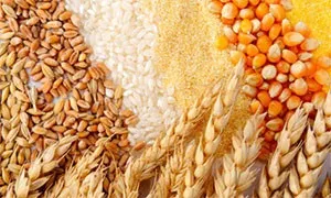 Злакова дієта 6 пелюсток, продукти, 7 днів 10 кг (злакова) Злакова дієта 6 пелюсток, продукти, 7 днів 10 кг