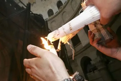 Життя земна, цікаве