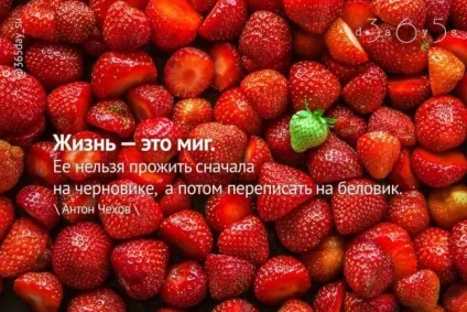 Жити на чернетку або
