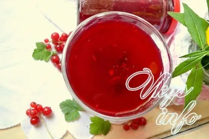 Желе з червоної смородини на зиму рецепт з фото (рецепт) Желе з червоної смородини на зиму рецепт з фото