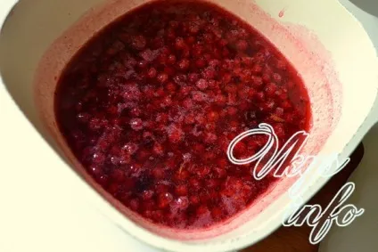 Желе з червоної смородини на зиму рецепт з фото (зиму) Желе з червоної смородини на зиму рецепт з фото