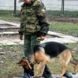 Скільки отримують військові вУкаіни та інших країнах