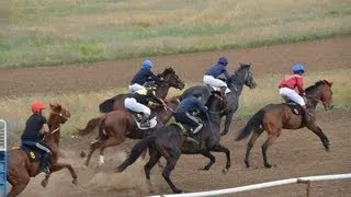 Състезания с коне на коне, които са правилата, видовете