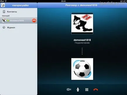 Skype pentru iPad, iPad Totul despre