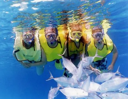 Merülés, vagy a művészet snorkeling - kikapcsolódás - fitness - férfi életét