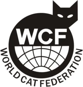 Standarde Maine Coon WCF, Tica, Fife (descriere, foto, video)