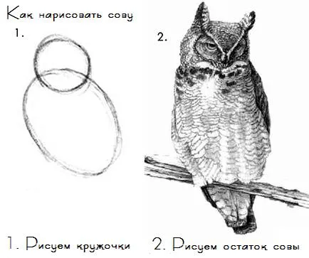 Sql injecție explicație simplă pentru începători (partea 1)