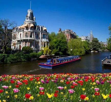 Az ország a tulipánok - Hollandia