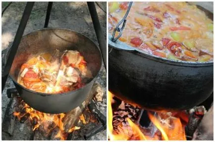 Supa shourpa de govyadiny- retete populare