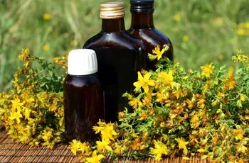 Звіробій, лікувальні властивості, застосування, 24 рецепта для лікування, протипоказання, побічні (лікувальні) Звіробій, лікувальні властивості, застосування, 24 рецепта для лікування, протипоказання, побічні