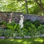 Shady градина (38 снимки) разполага растения, градински цветя за сенчести места, снимки и видео