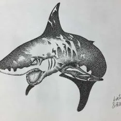 Татуировка Shark татуировка стойност, 28 снимки, скици