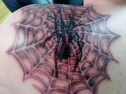 Татуировки с паяжини на рамото му - татуировка на