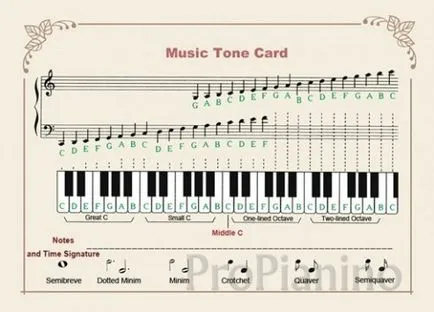 reguli de bază tehnică vibrato