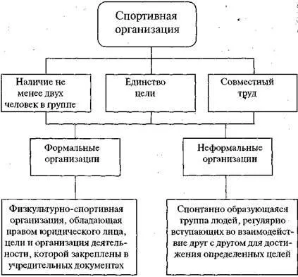 Типология на спортни и спортни организации - studopediya