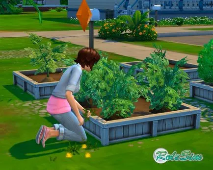 The Sims 4 grădinărit