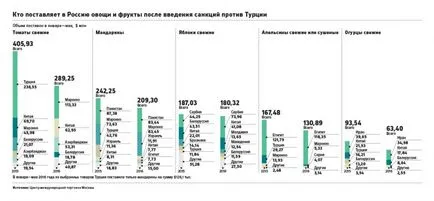 Tomate lovitură de stat a schimbat modul în care comerțul în România și Turcia