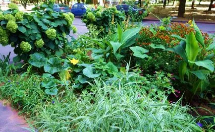 Топ 10 идеи за градска предни градини, Грийнмаркет