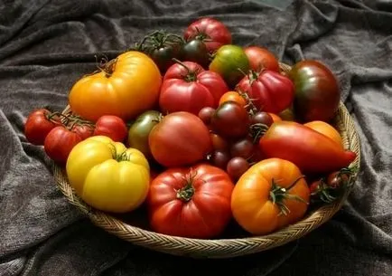 Топ 15 интересни факти за домати - ще се изненадате!