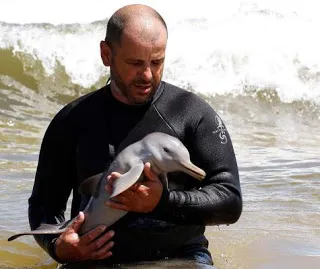 Dolphin Szállítás (videó) ~ Delfinárium klórozott börtönben