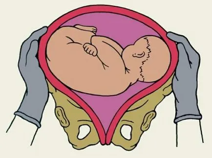 A harmadik ultrahang terhesség alatt, mikor, hogy milyen időszakra