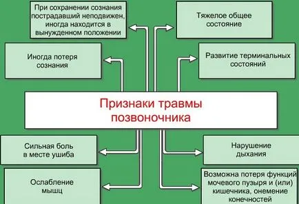 Контузия на шийката на матката, гръдни и лумбални прешлени Характеристики