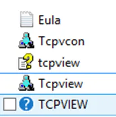 TCPView segédprogram