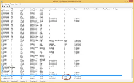 TCPView segédprogram