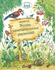 10 Когнитивни детски книги за последния месец на празниците - Озон ръководство