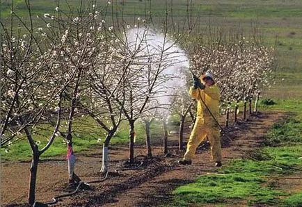 Grija pentru meri în primăvară - ce să facă cu meri în primăvară