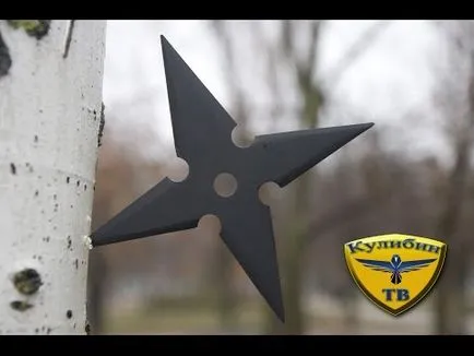 Videos like this 