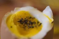 Egg подвижен щета на дешифрира тълкуването на ценности