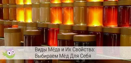 Tipuri de miere și proprietățile lor alege dreptul de miere pentru ei înșiși