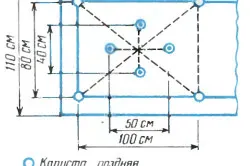 Cultivarea varză chinezească Agrotehnică Ljubasha