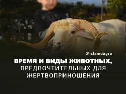 Новият брой на вестник 